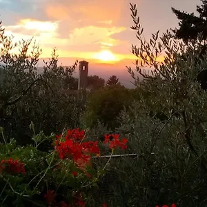 La Casetta Di Campagna Appartamento Pomino